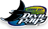 Image of raysicon.gif